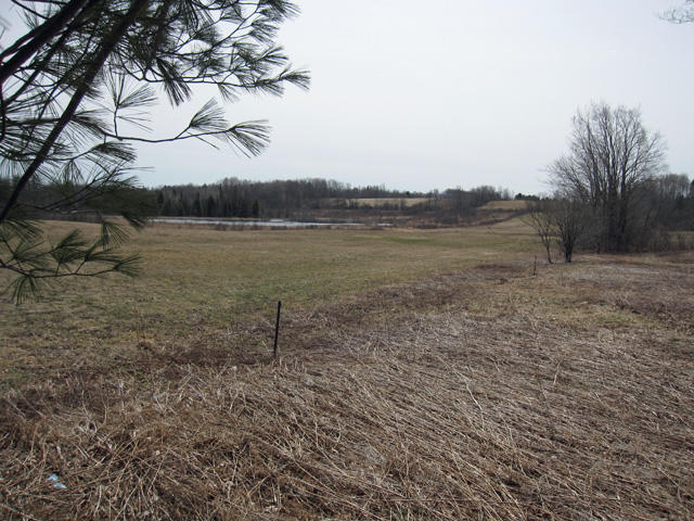 80 Ac. Hoffman Rd., Saint Johnsville, NY 13452 (Off Market NYStateMLS ...