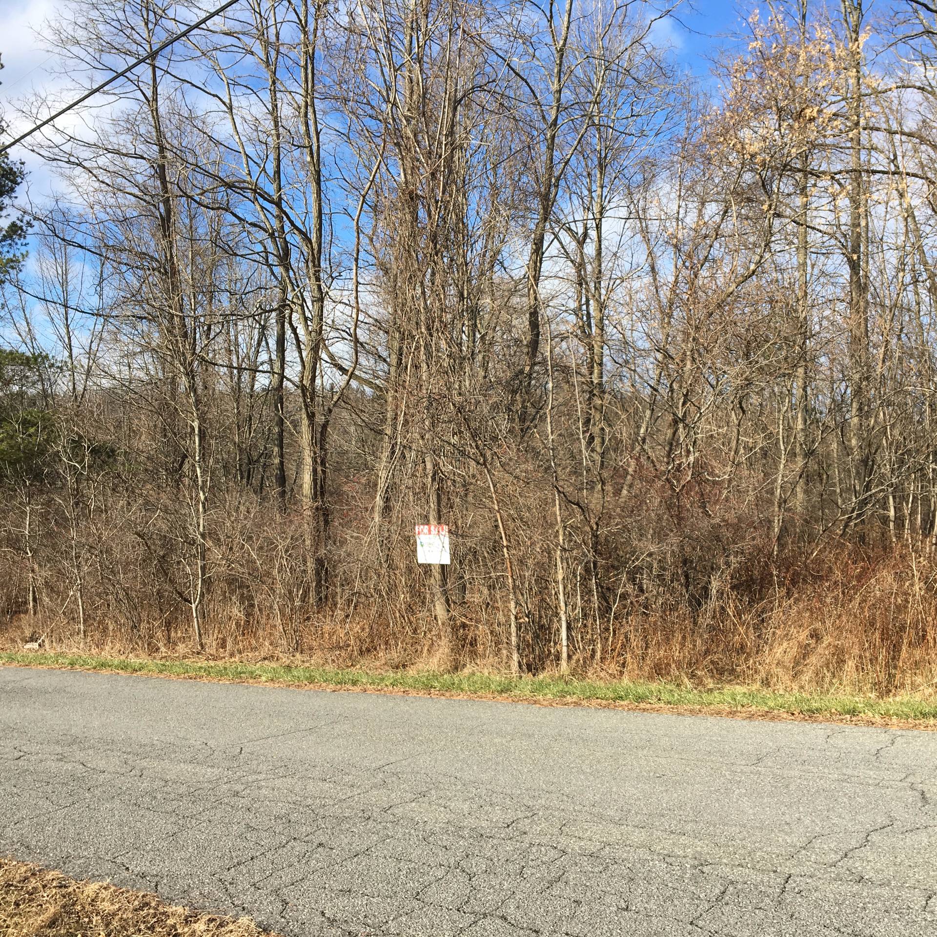 148 Whitbeck Rd, Coeymans Hollow, NY 12046 (Sold NYStateMLS Listing