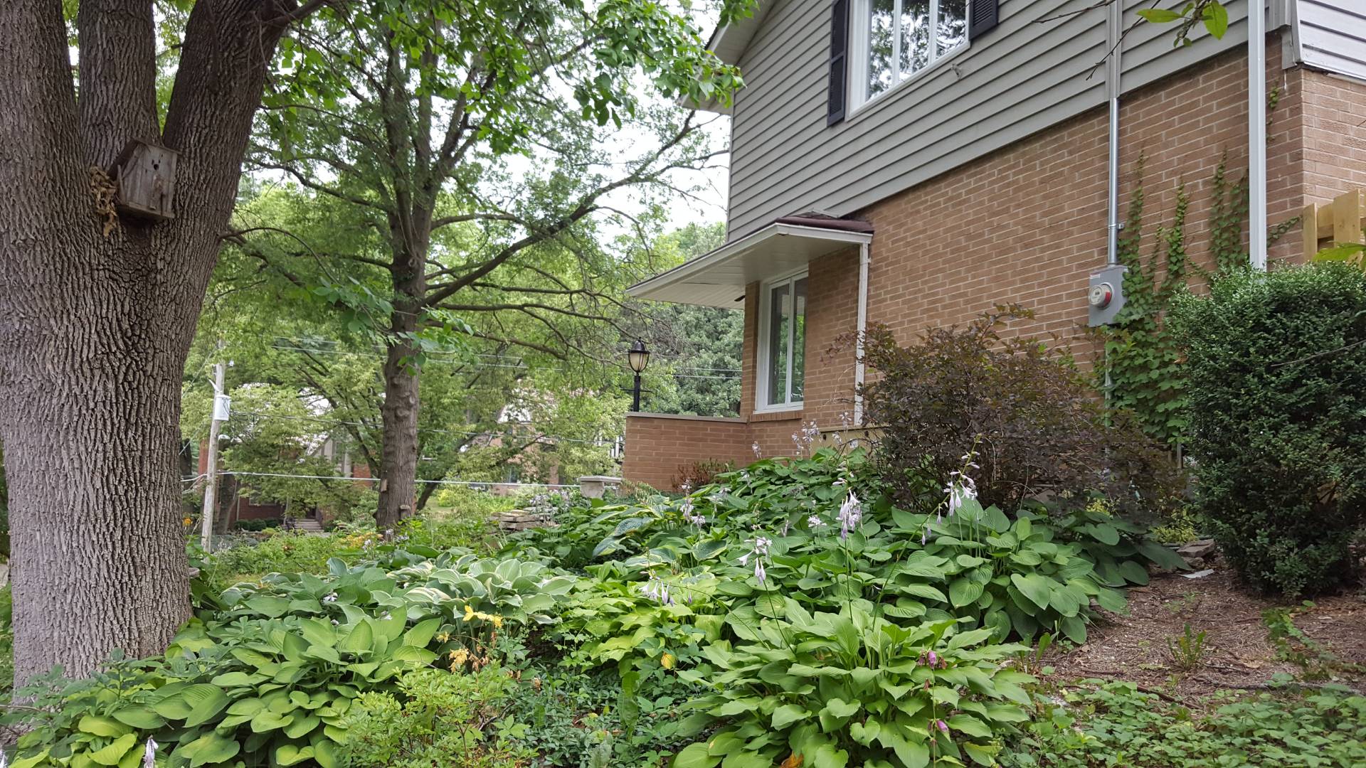 5500 Harwood Dr, Des Moines, IA 50312 (Off Market MyStateMLS Listing