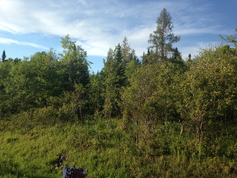 Nys Rte 8, Morehouse, NY 13324 (Sold NYStateMLS Listing 10394115)