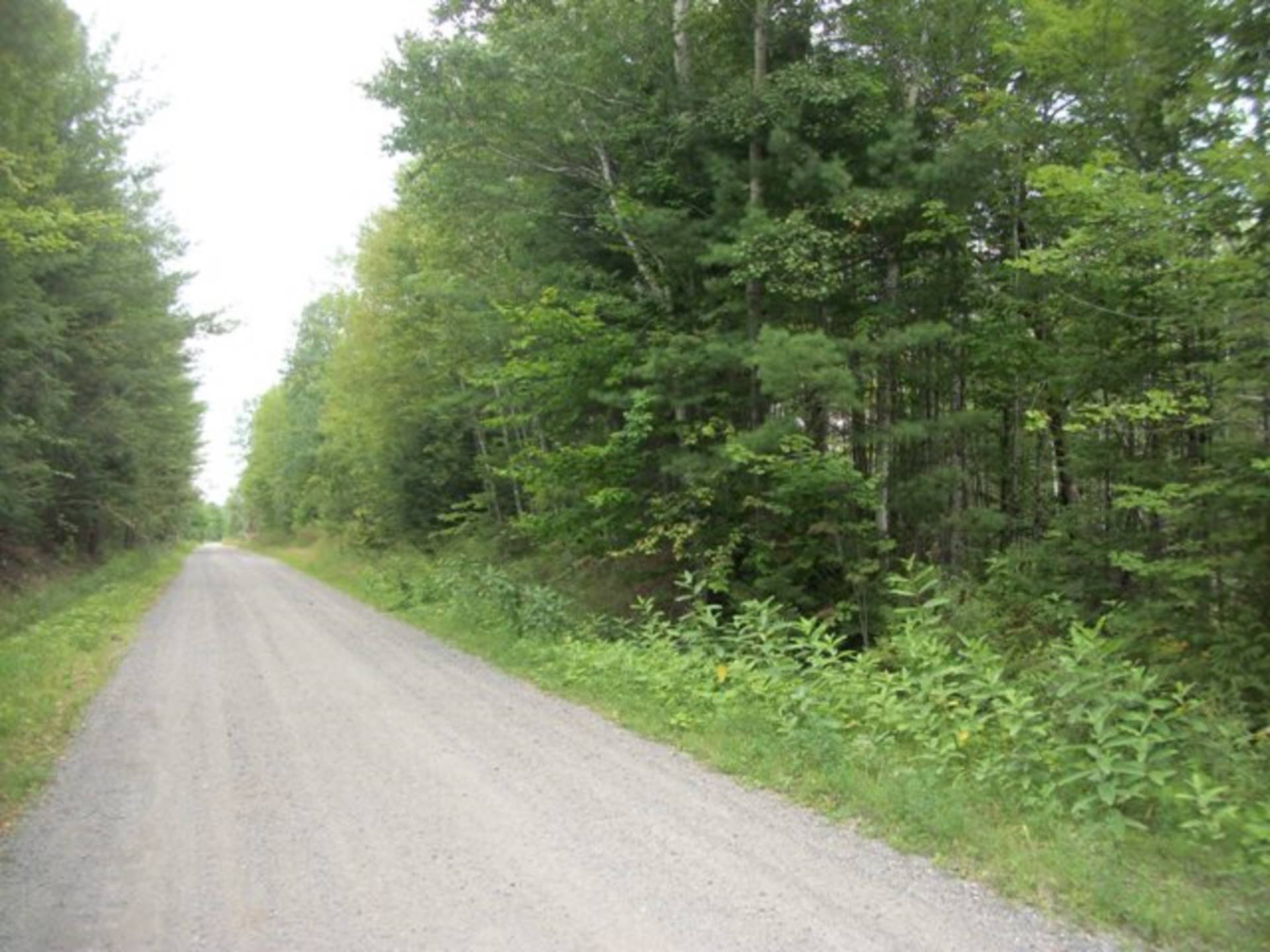 0 Railroad Bed Road, Medford, ME 04463 (Sold NYStateMLS Listing 10409261)