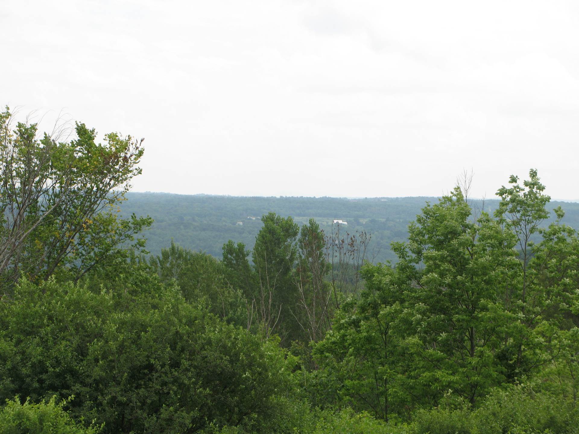 387 Mudge Rd, Delanson, NY 12053 (Off Market NYStateMLS Listing 10408493)