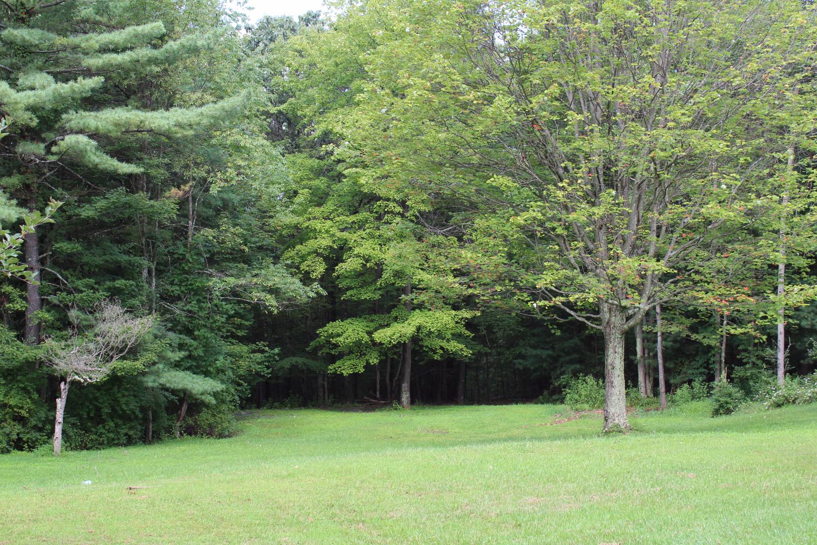 10132 Sugar Grove Road, Huntingdon, PA 16652 (Sold MyStateMLS Listing