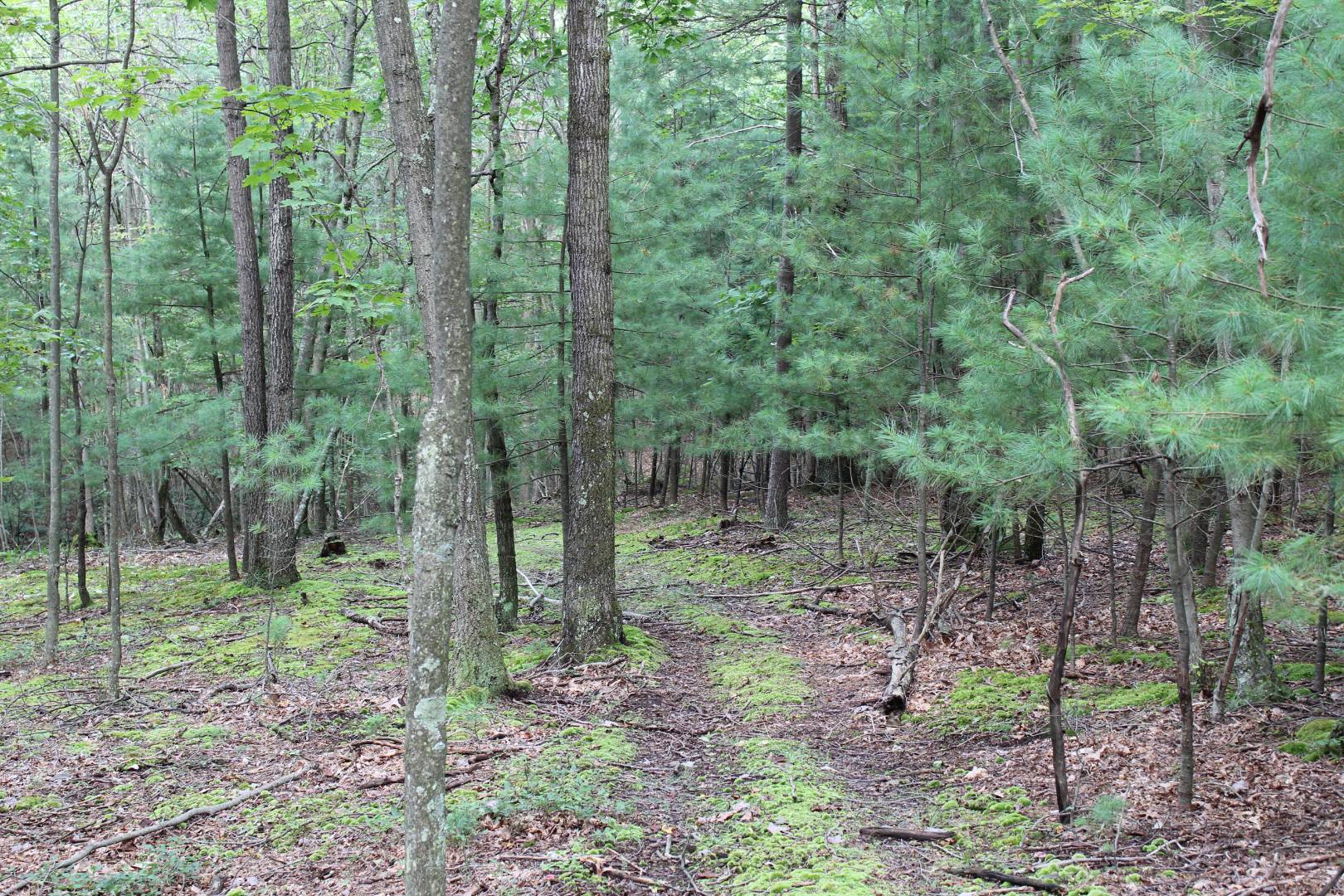 10132 Sugar Grove Road, Huntingdon, PA 16652 (Sold MyStateMLS Listing