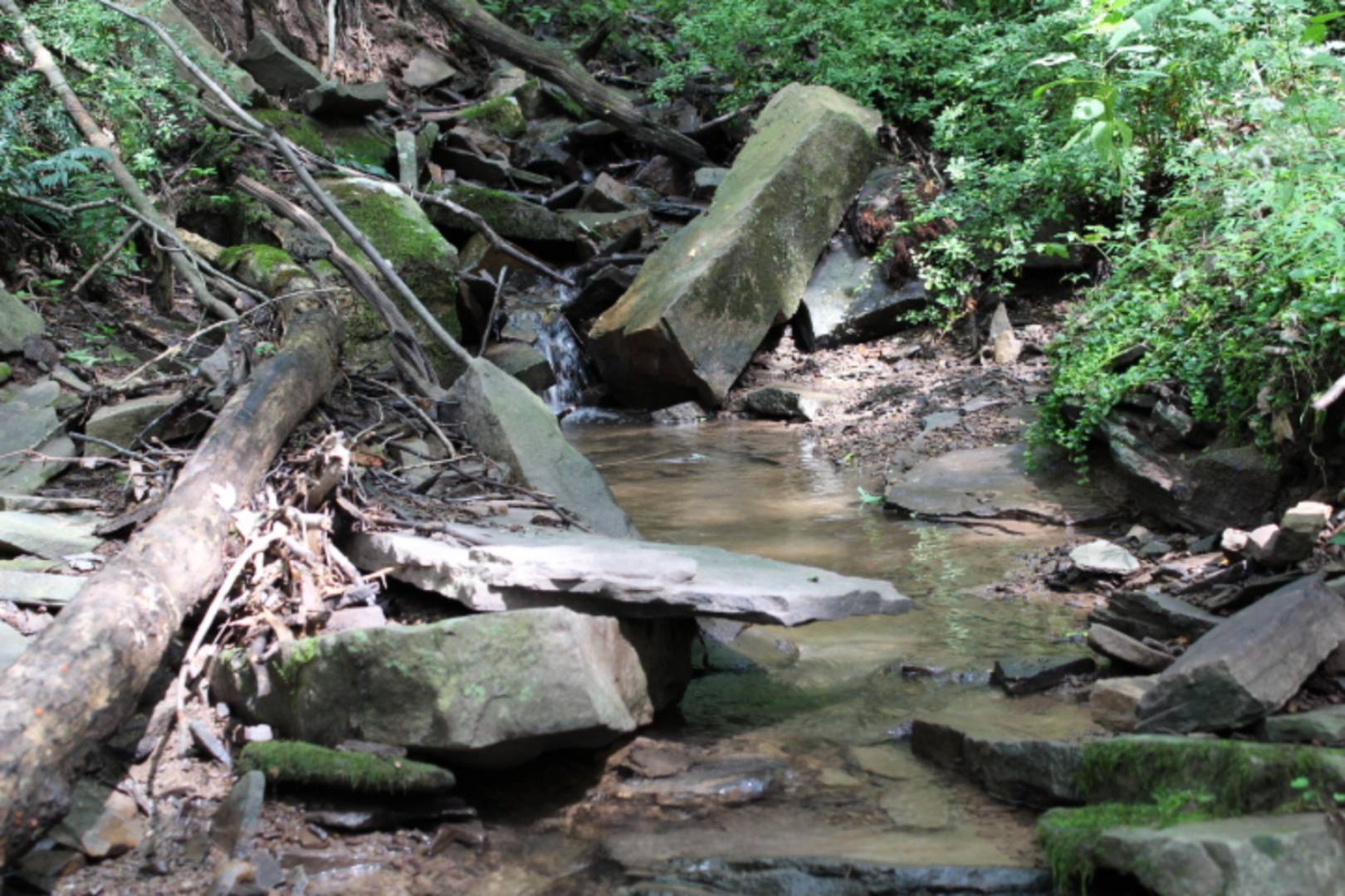 10132 Sugar Grove Road, Huntingdon, PA 16652 (Sold MyStateMLS Listing