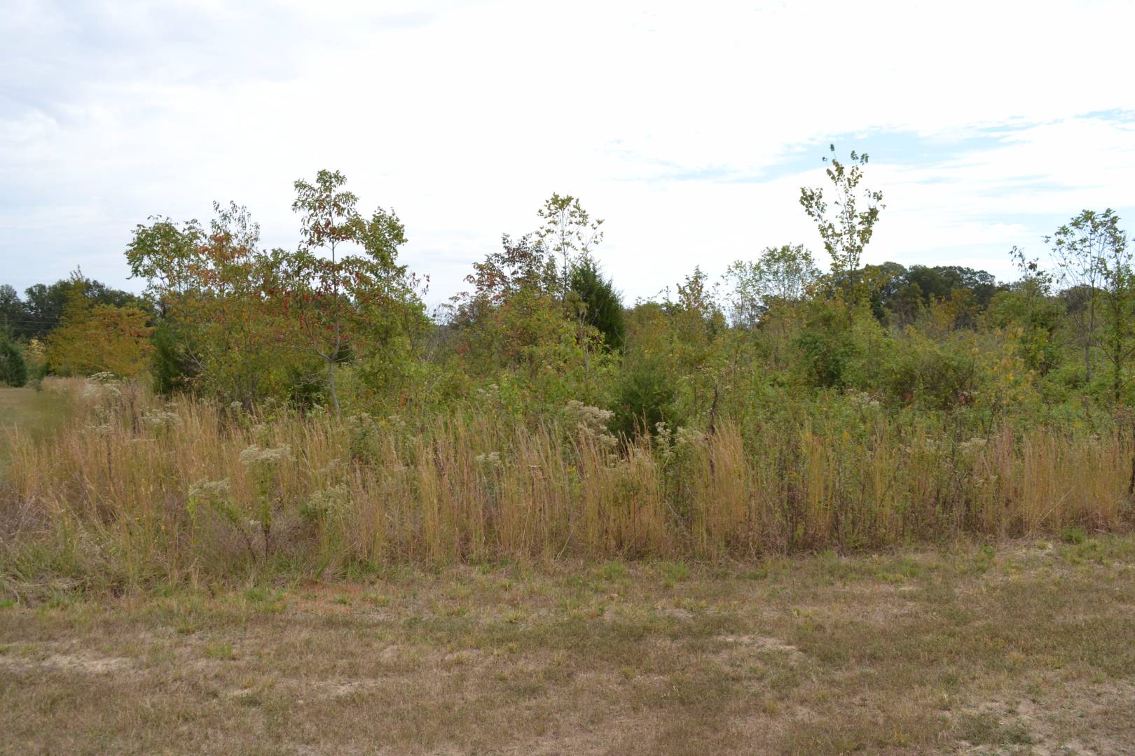 Flower Drive, Albion, IL 62806 (Sold MyStateMLS Listing 10428638)