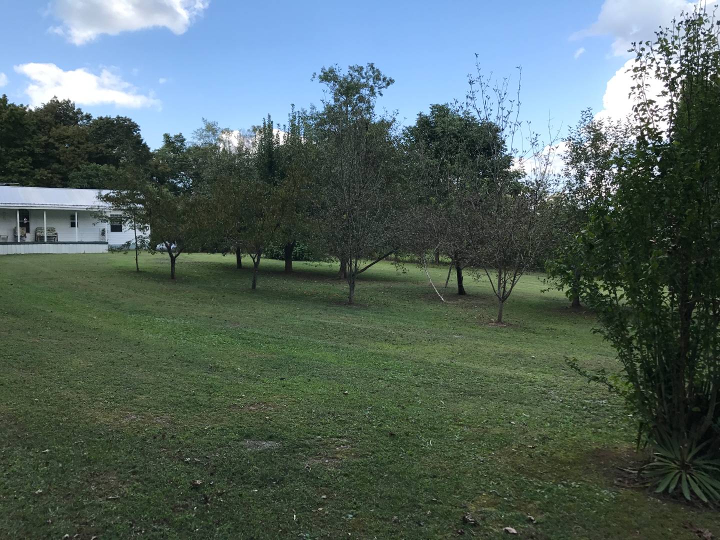 1175 SANDLICK, Columbia, KY 42728 (Sold MyStateMLS Listing 10421144)