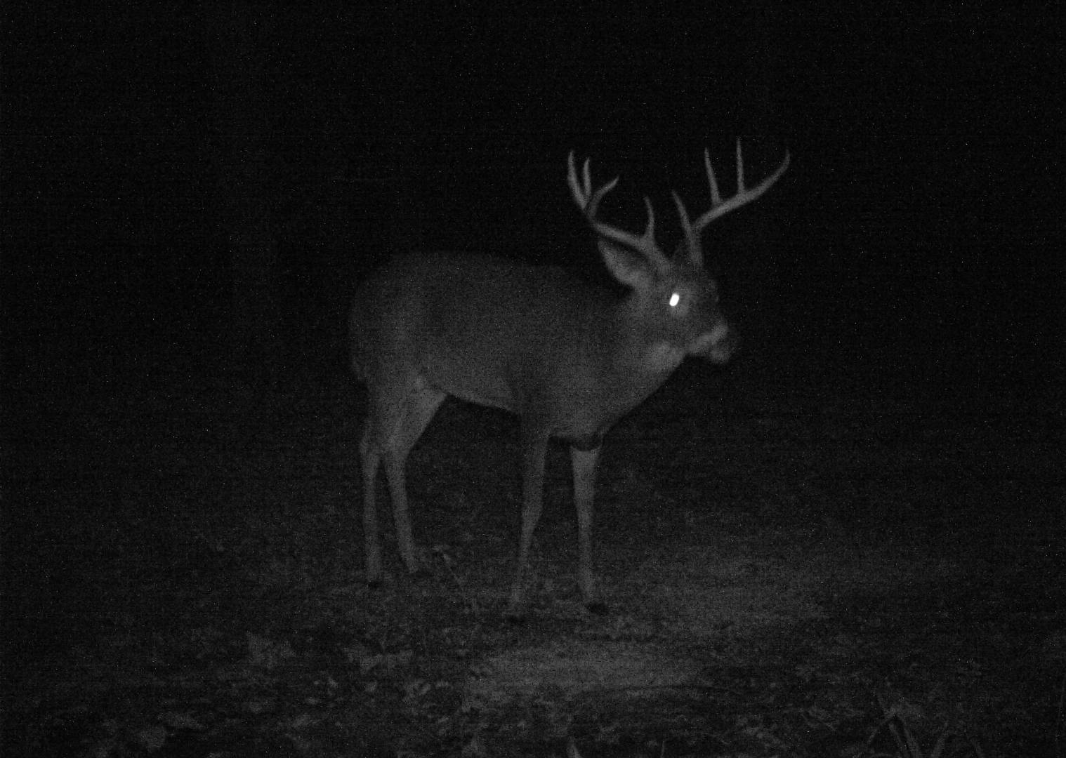 Indian Road, Yates Center, KS 66783 (Off Market NYStateMLS Listing