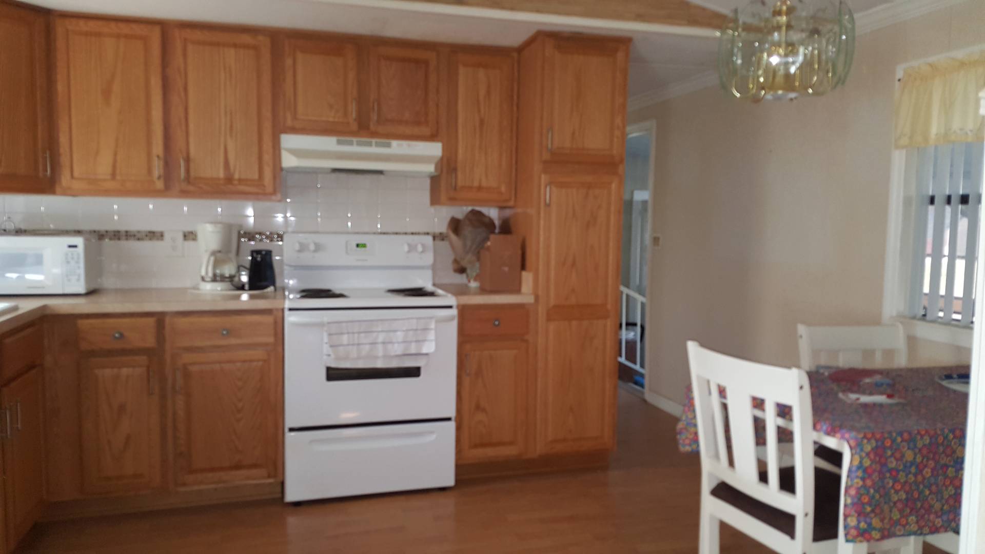 3907 Oakhurst Dr, Zephyrhills, FL 33541 (Sold MyStateMLS Listing 10448478)