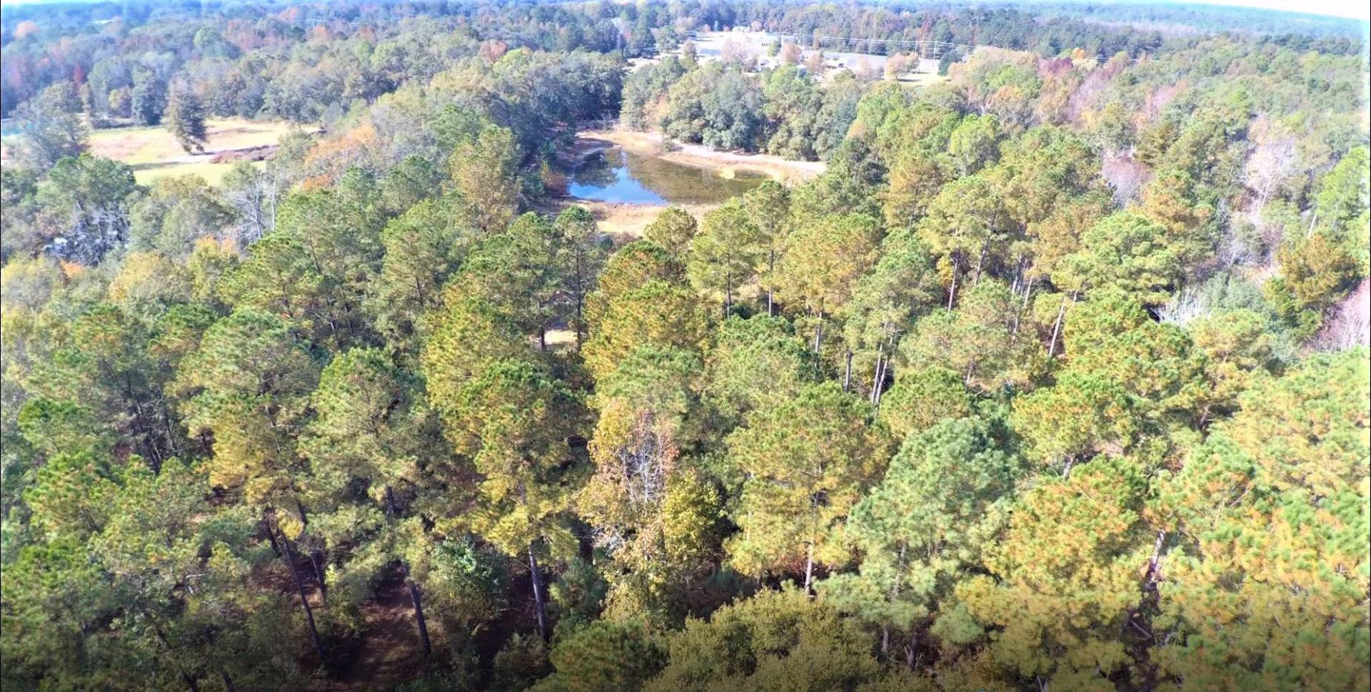 233 Stocks Dairy Road, Leesburg, GA 31763 (Sold MyStateMLS Listing