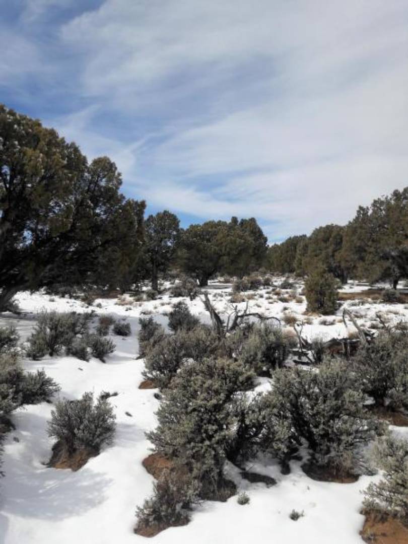 LOT 8 Cedar Valley Acres, 8, Cedar City, UT 84721 (Off Market