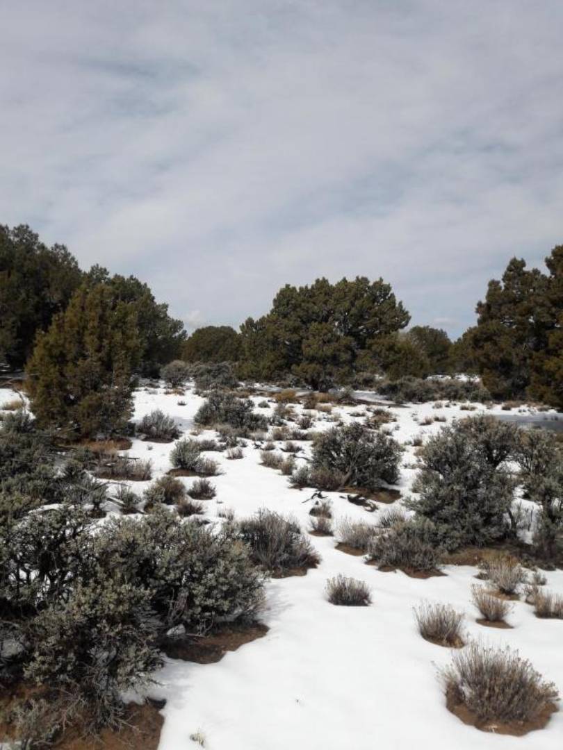 LOT 8 Cedar Valley Acres, 8, Cedar City, UT 84721 (Off Market