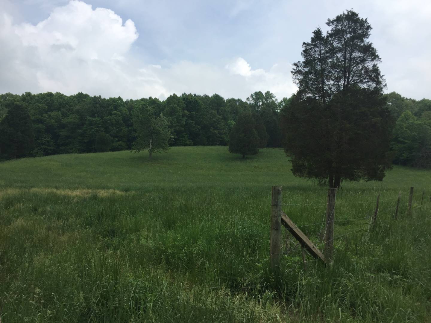 Anderson Creek Road, Eckerty, IN 47116 (Sold NYStateMLS Listing 10494222)