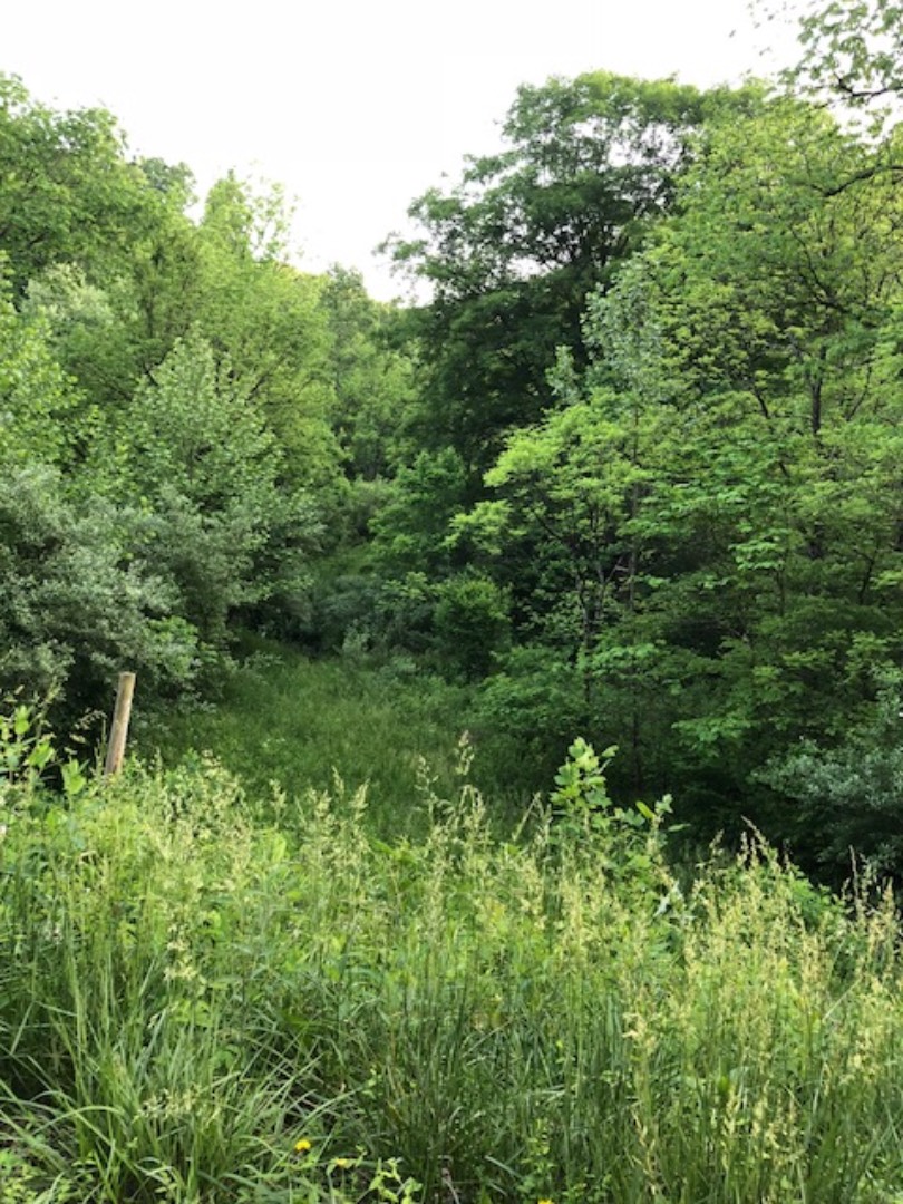 1005 Ky 1621, Sandy Hook, KY 41171 (Sold NYStateMLS Listing 10498136)