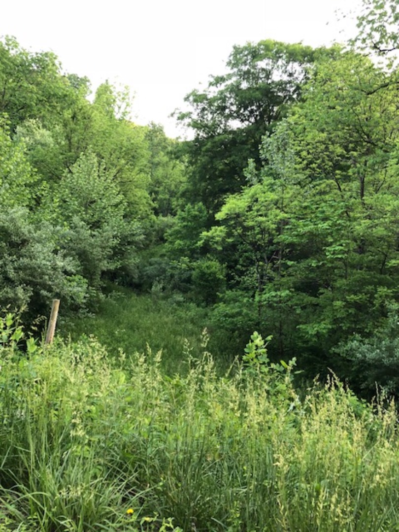 1005 Ky 1621, Sandy Hook, KY 41171 (Sold NYStateMLS Listing 10498136)