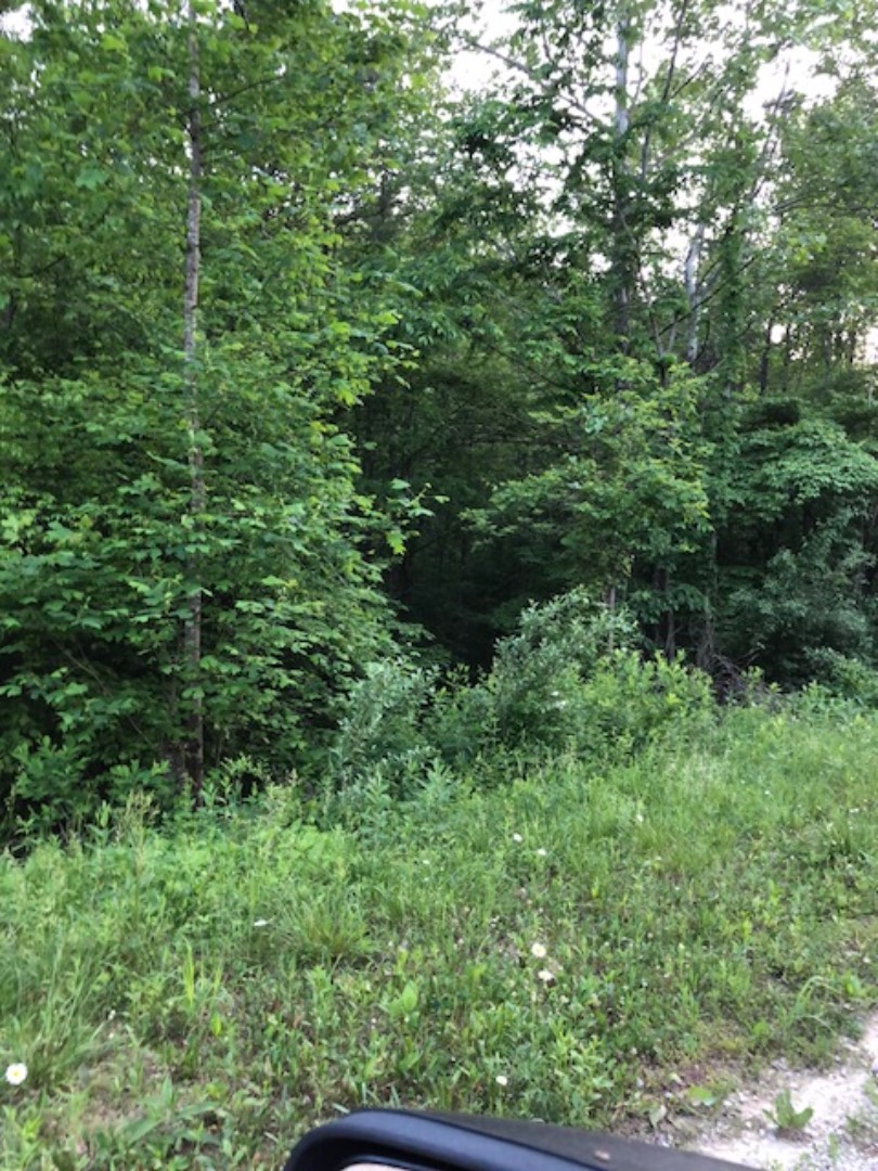 1005 Ky 1621, Sandy Hook, KY 41171 (Sold NYStateMLS Listing 10498136)