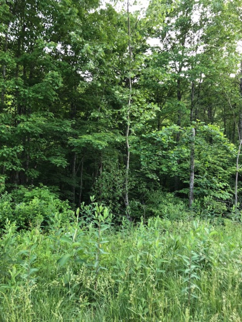 1005 Ky 1621, Sandy Hook, KY 41171 (Sold MyStateMLS Listing 10498136)