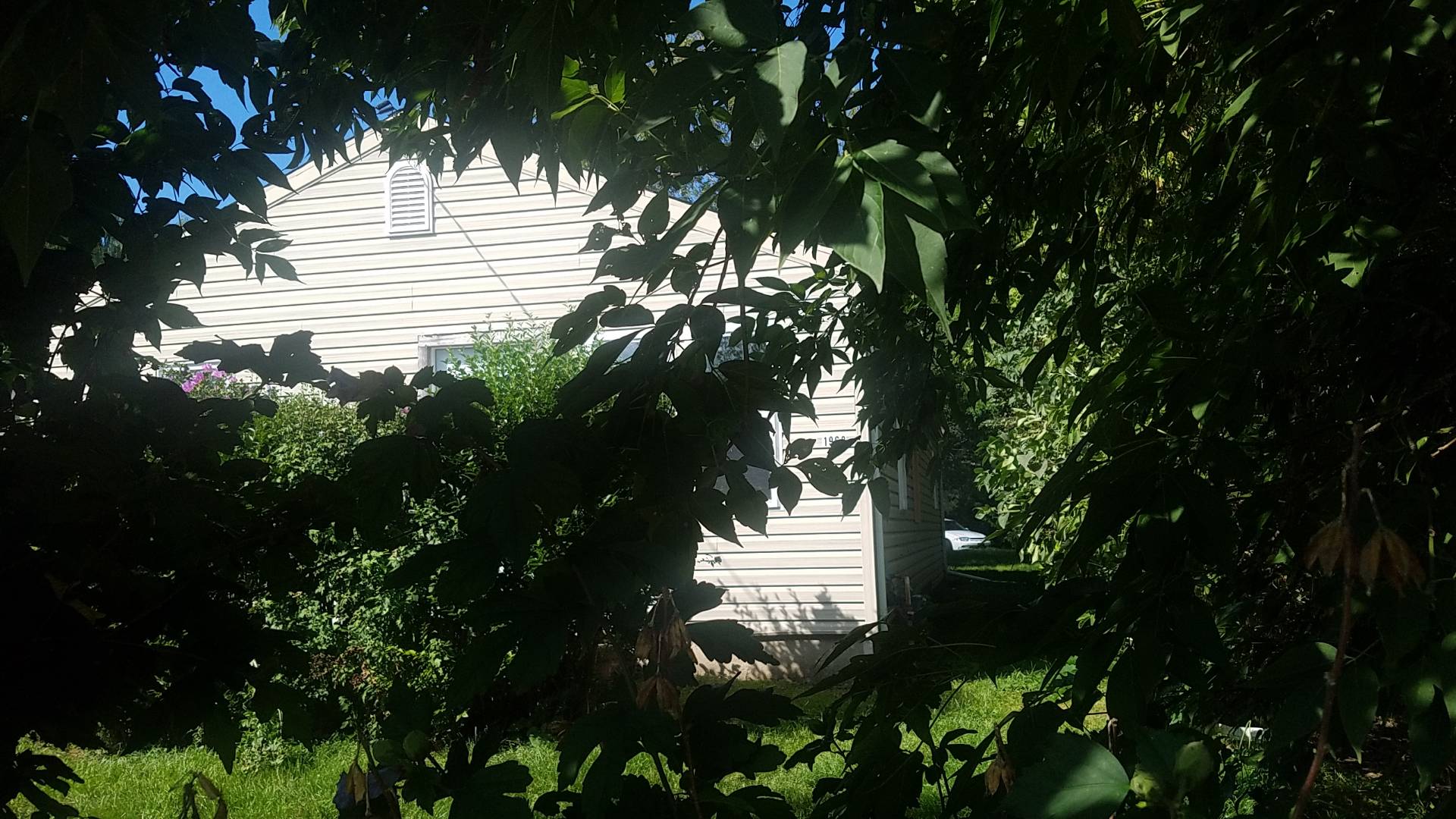 1968 Mackenna Ave, Niagara Falls, NY 14303 (Sold NYStateMLS Listing 10509209)