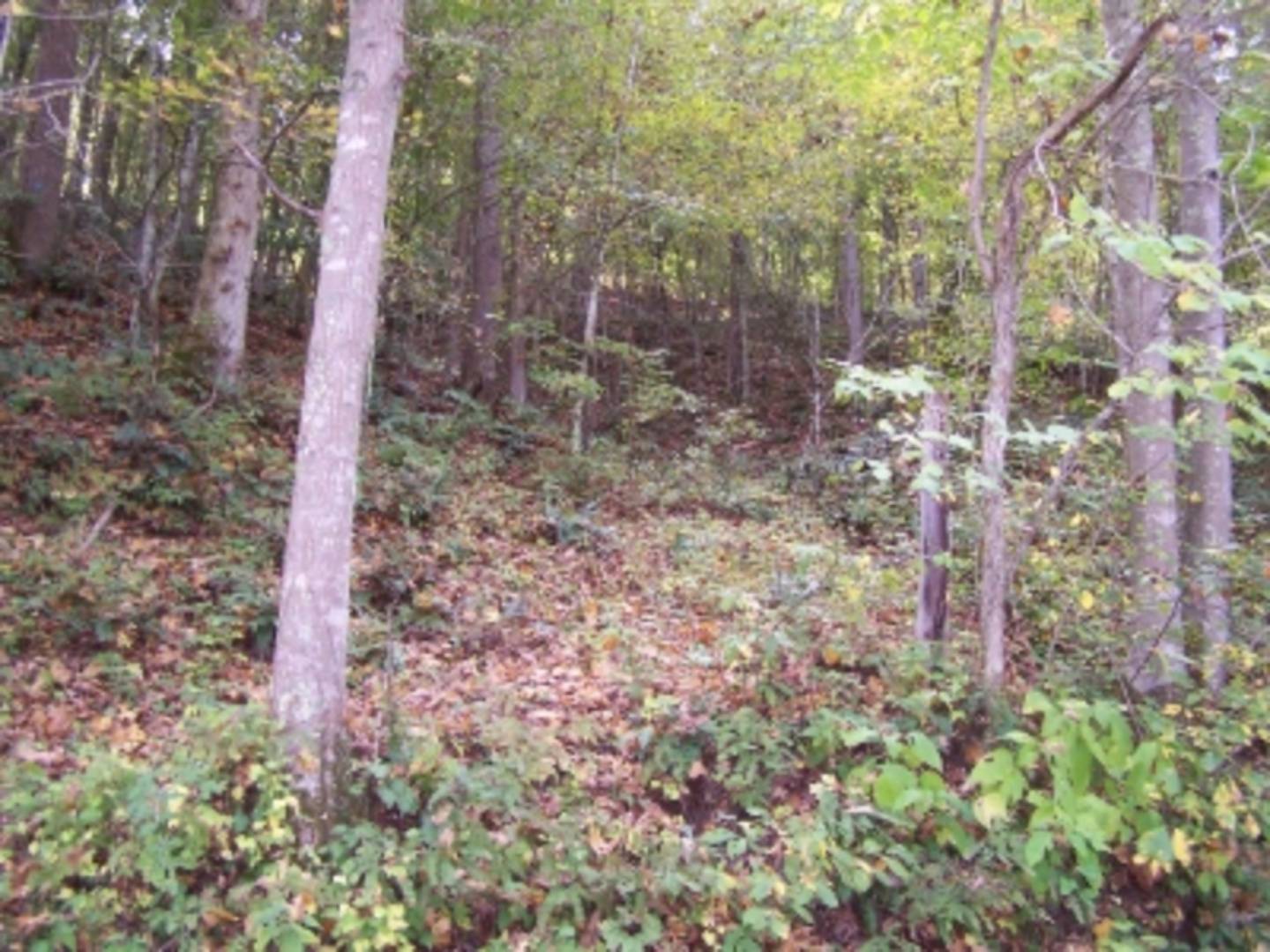 Pine Creek Road, Grantsville, WV 26147 (Sold NYStateMLS Listing 10506558)