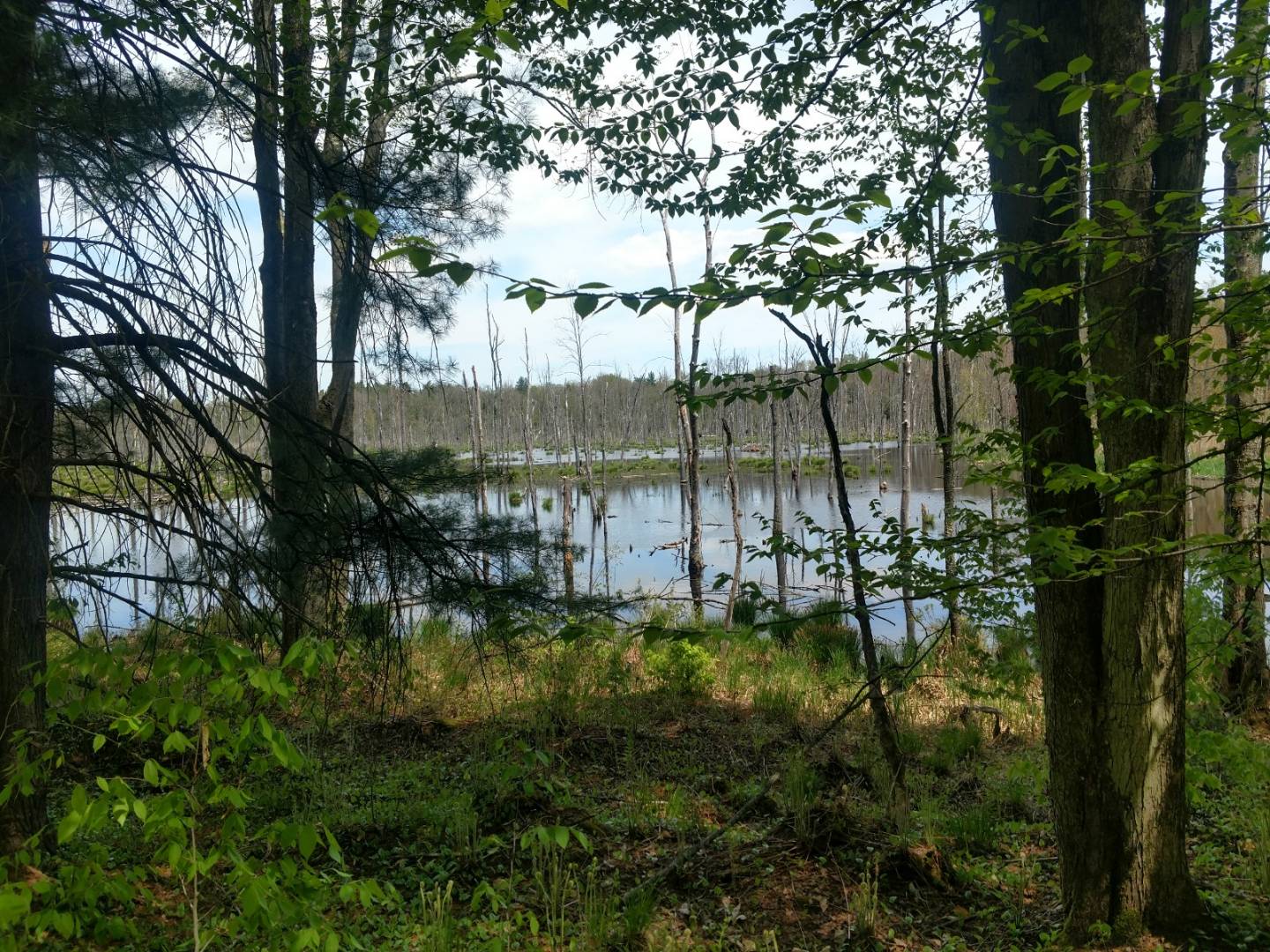 00 St Rt 3, Palermo, NY 13069 (Sold NYStateMLS Listing 10517753)