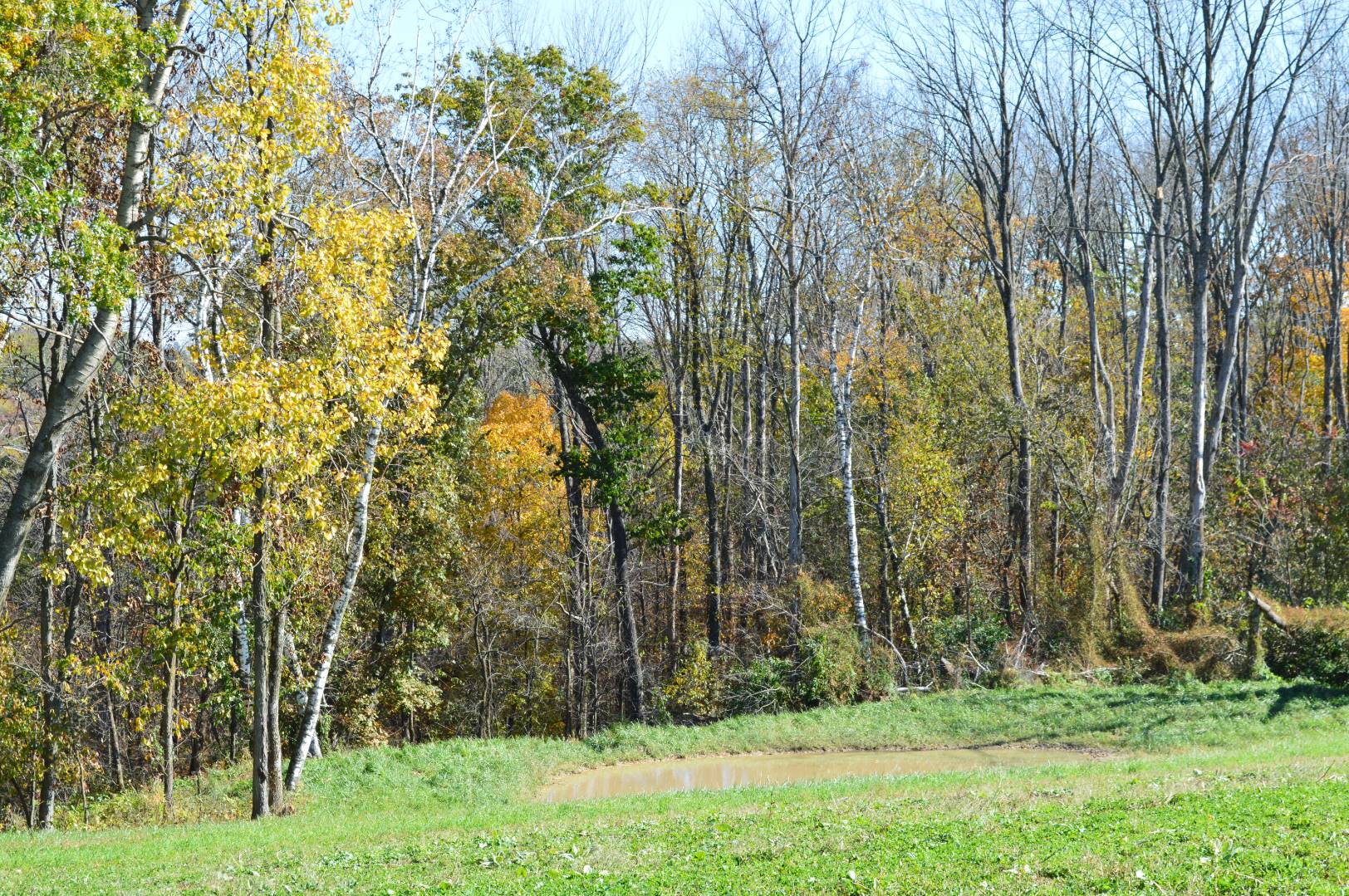 North Buck Creek Road, Lot 2, Ferryville, WI 54628 (Sold NYStateMLS