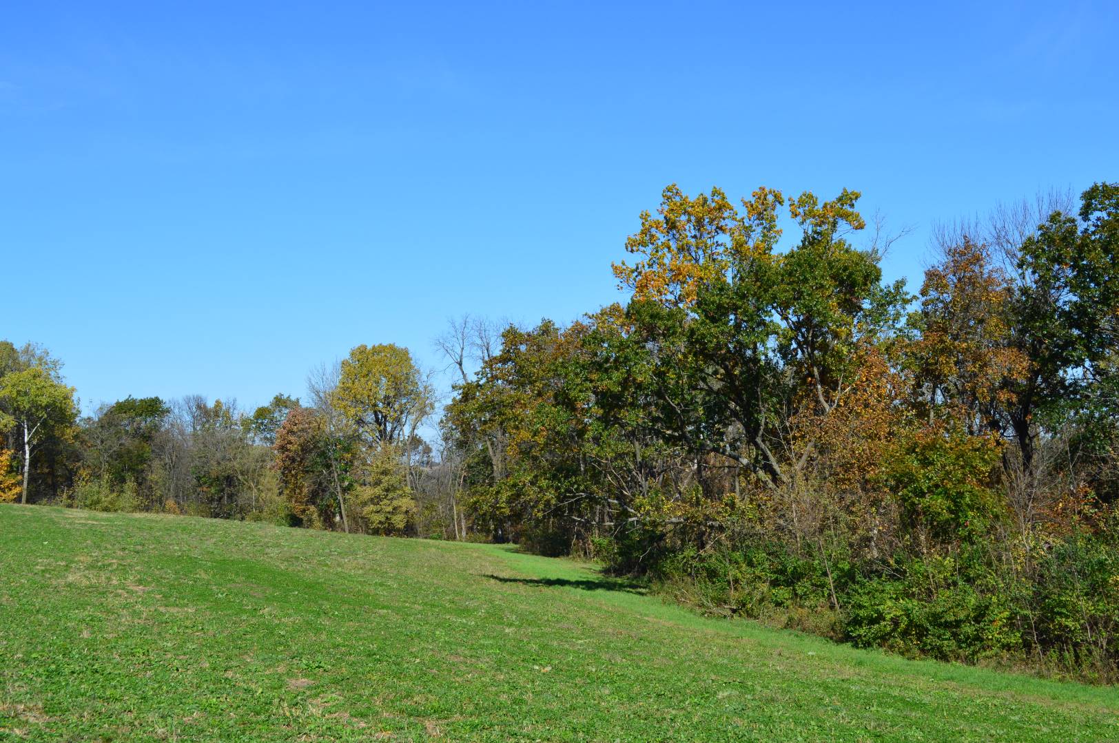 North Buck Creek Road, Lot 2, Ferryville, WI 54628 (Sold NYStateMLS