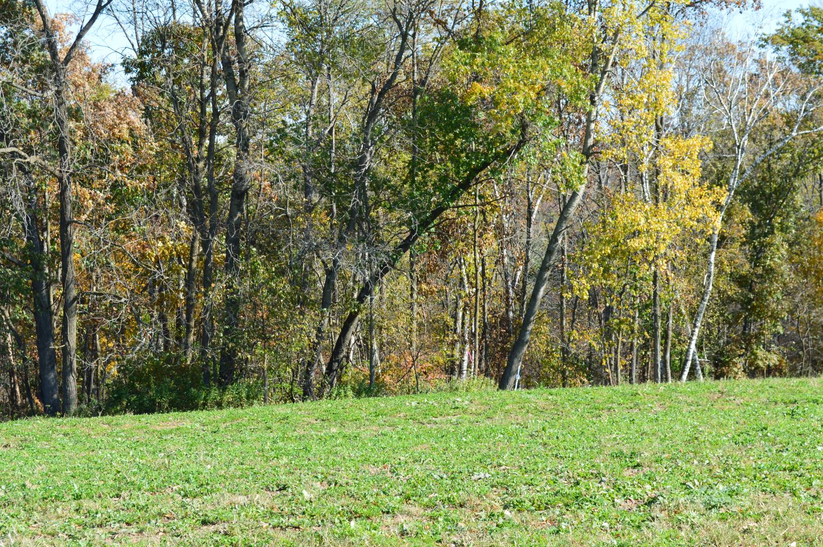 North Buck Creek Road, Lot 2, Ferryville, WI 54628 (Sold NYStateMLS