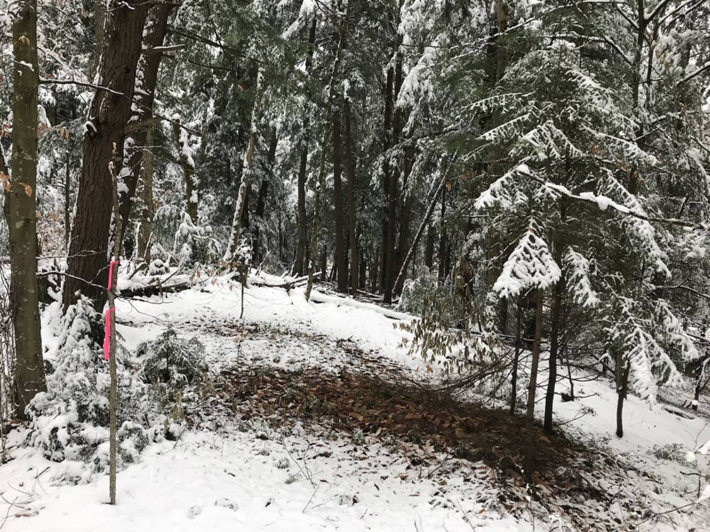 1.4 Irondale Rd., 4, Salisbury Center, NY 13454 (Sold NYStateMLS