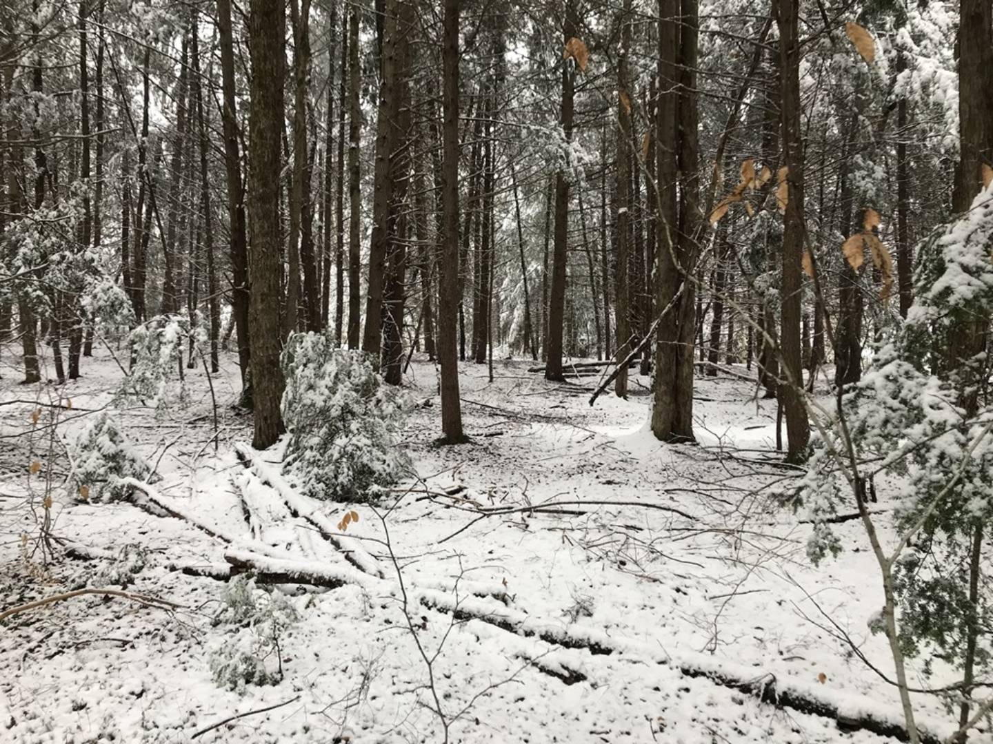 1.4 Irondale Rd., 4, Salisbury Center, NY 13454 (Sold NYStateMLS