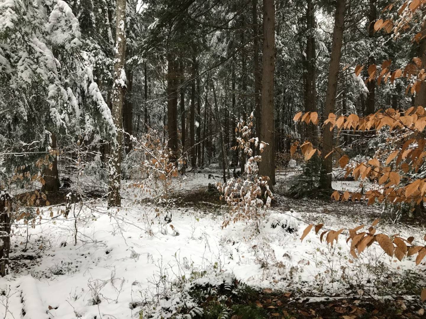 1.4 Irondale Rd., 4, Salisbury Center, NY 13454 (Sold NYStateMLS