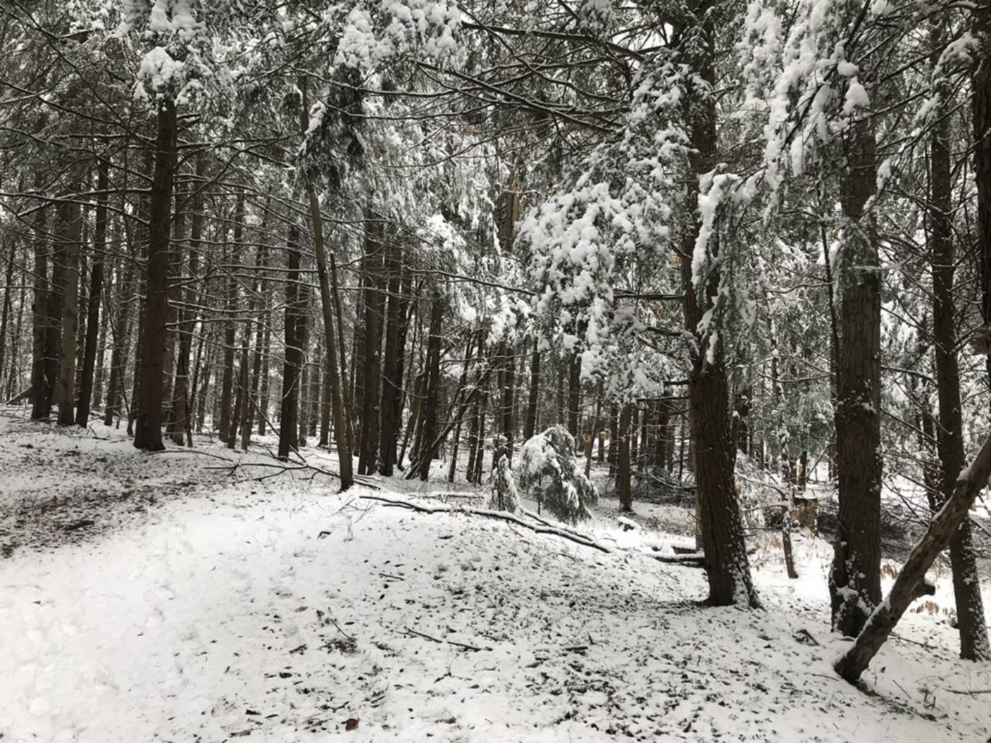 1.4 Irondale Rd., 4, Salisbury Center, NY 13454 (Sold NYStateMLS