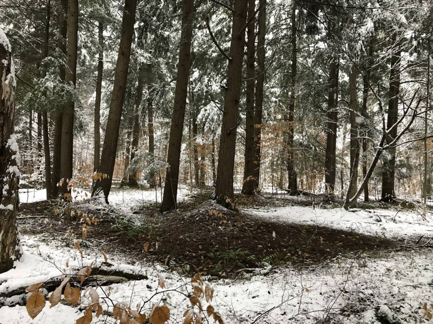 1.4 Irondale Rd., 4, Salisbury Center, NY 13454 (Sold NYStateMLS