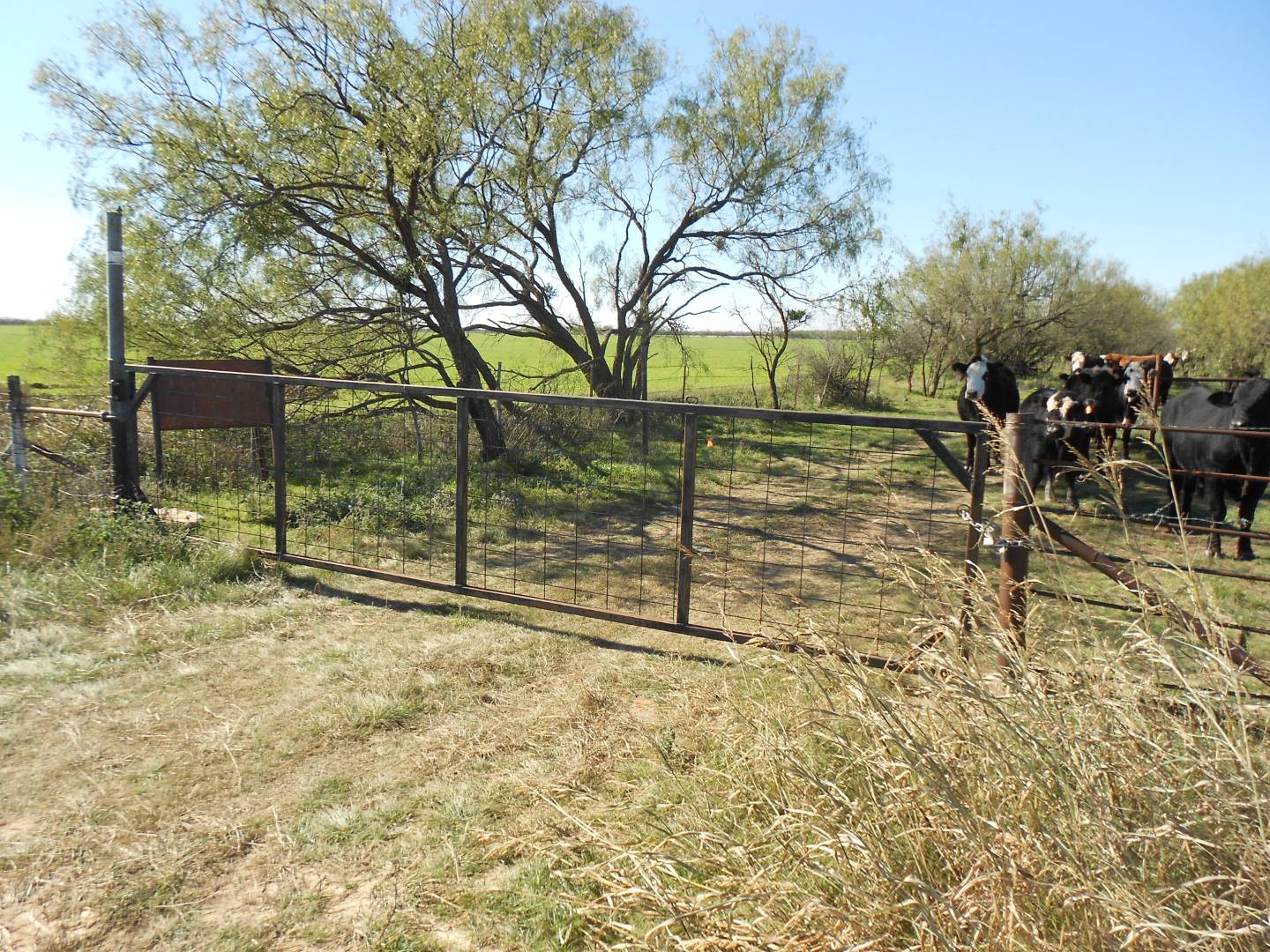 CR 143, Talpa, TX 76882 (Sold MyStateMLS Listing 10555946)