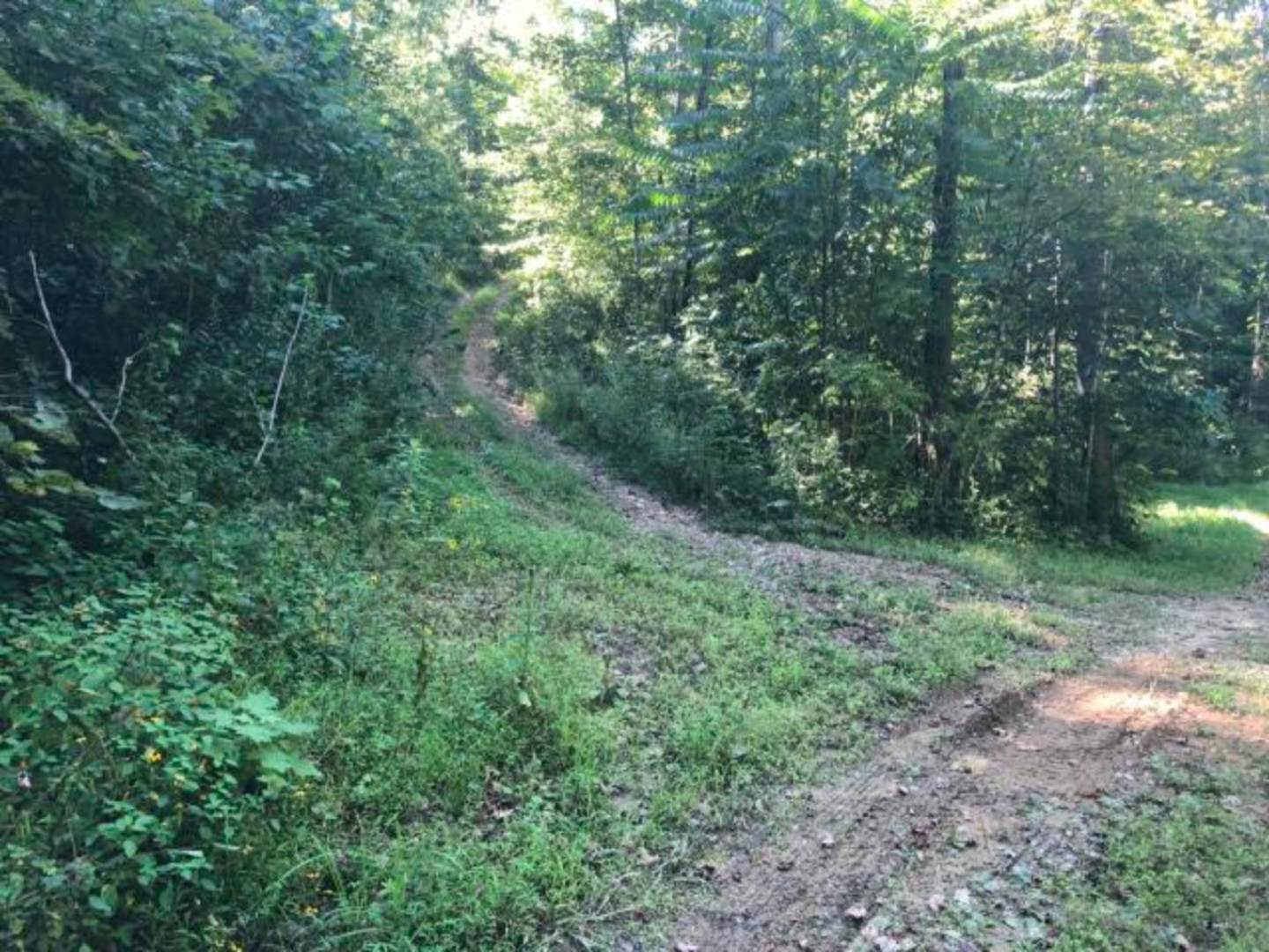 2600 Dutch Creek Road, Burkesville, KY 42717 (Off Market NYStateMLS