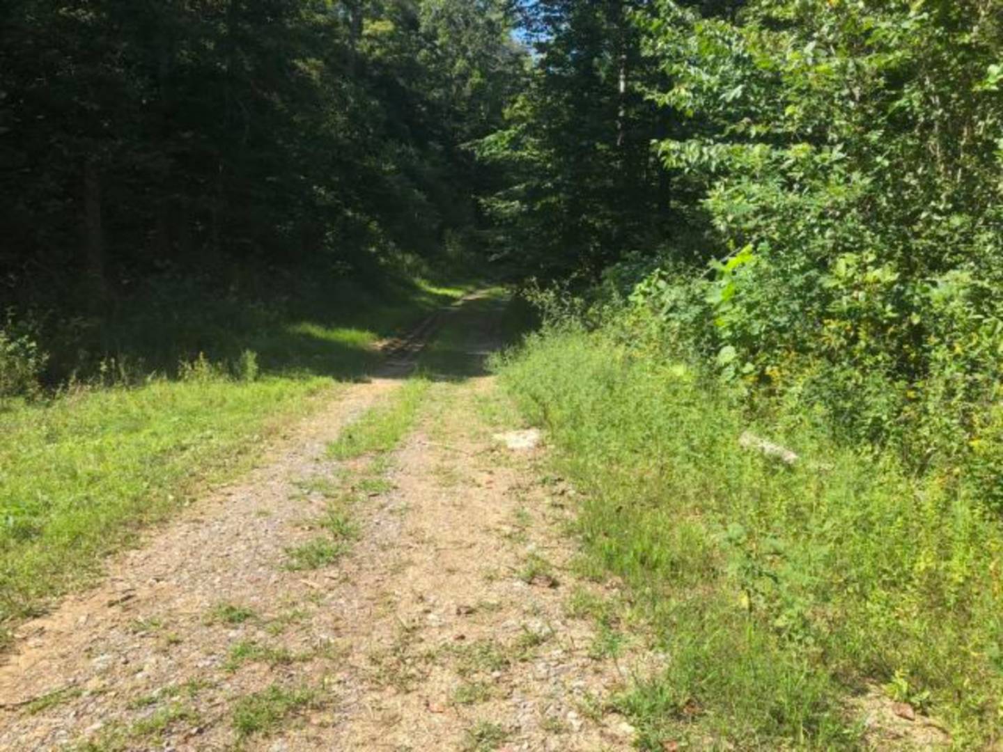 2600 Dutch Creek Road, Burkesville, KY 42717 (Off Market NYStateMLS