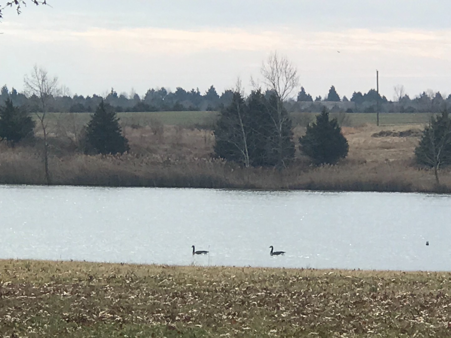 20 Scarlet Lake Drive, 20, Carrier Mills, IL 62946 (Sold MyStateMLS