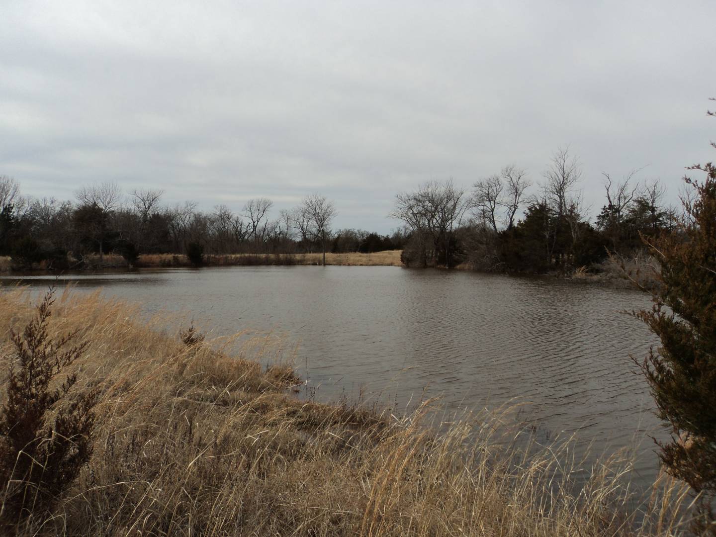 33655 Highway 39 Tract 4, OK 74878 (Sold MyStateMLS Listing