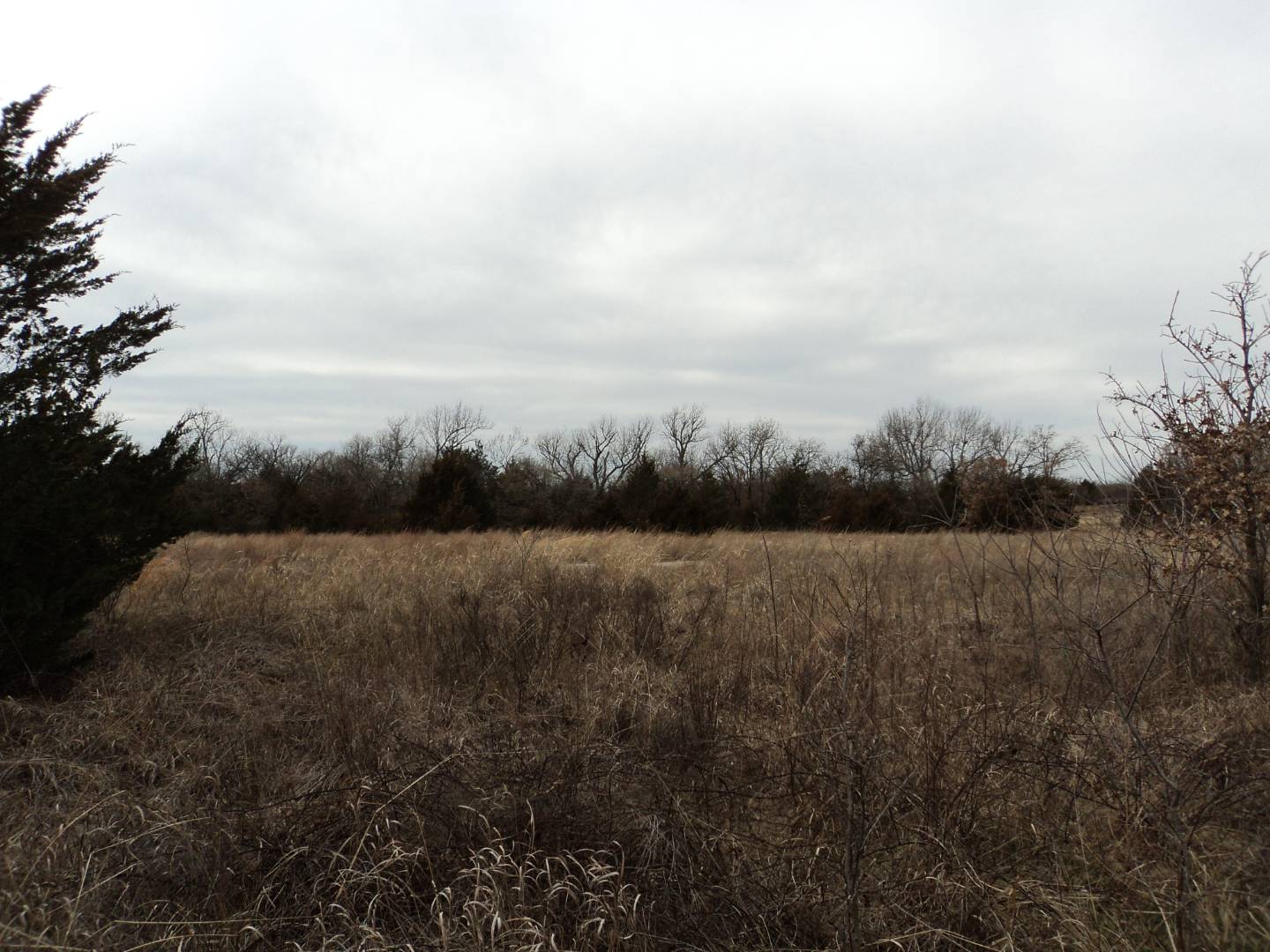 33665 Skelly Rd. Tract 5, OK 74878 (Sold MyStateMLS Listing 10577103)