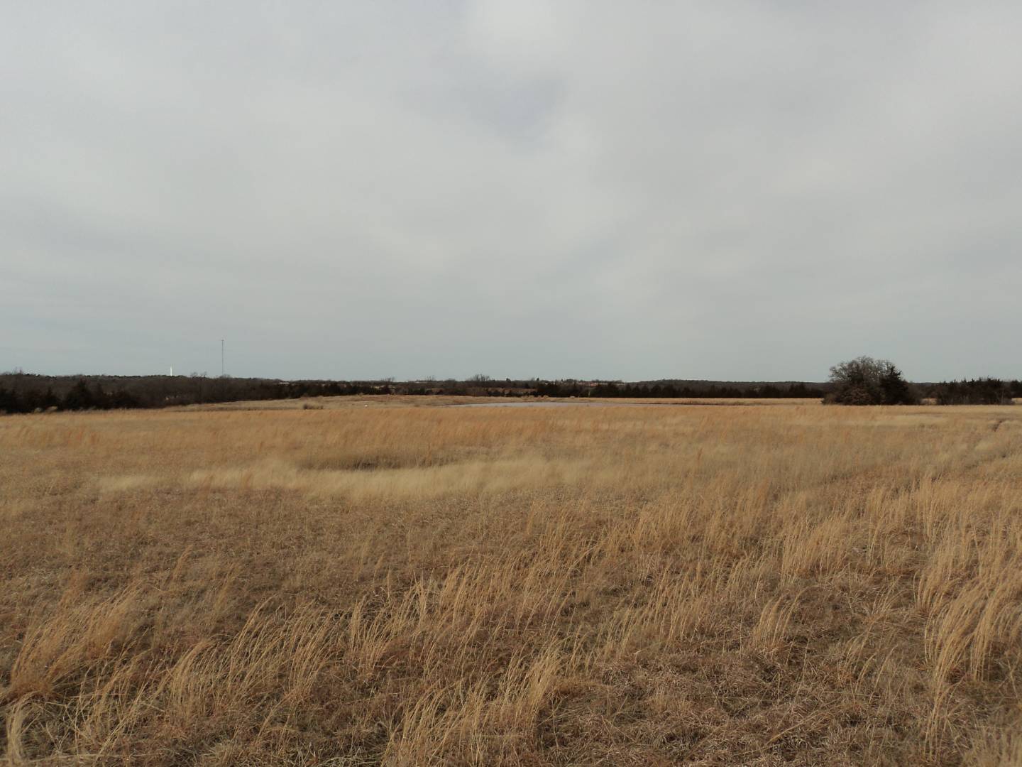 33370 Highway 39 Tract 1, OK 74878 (Sold MyStateMLS Listing 10576818)