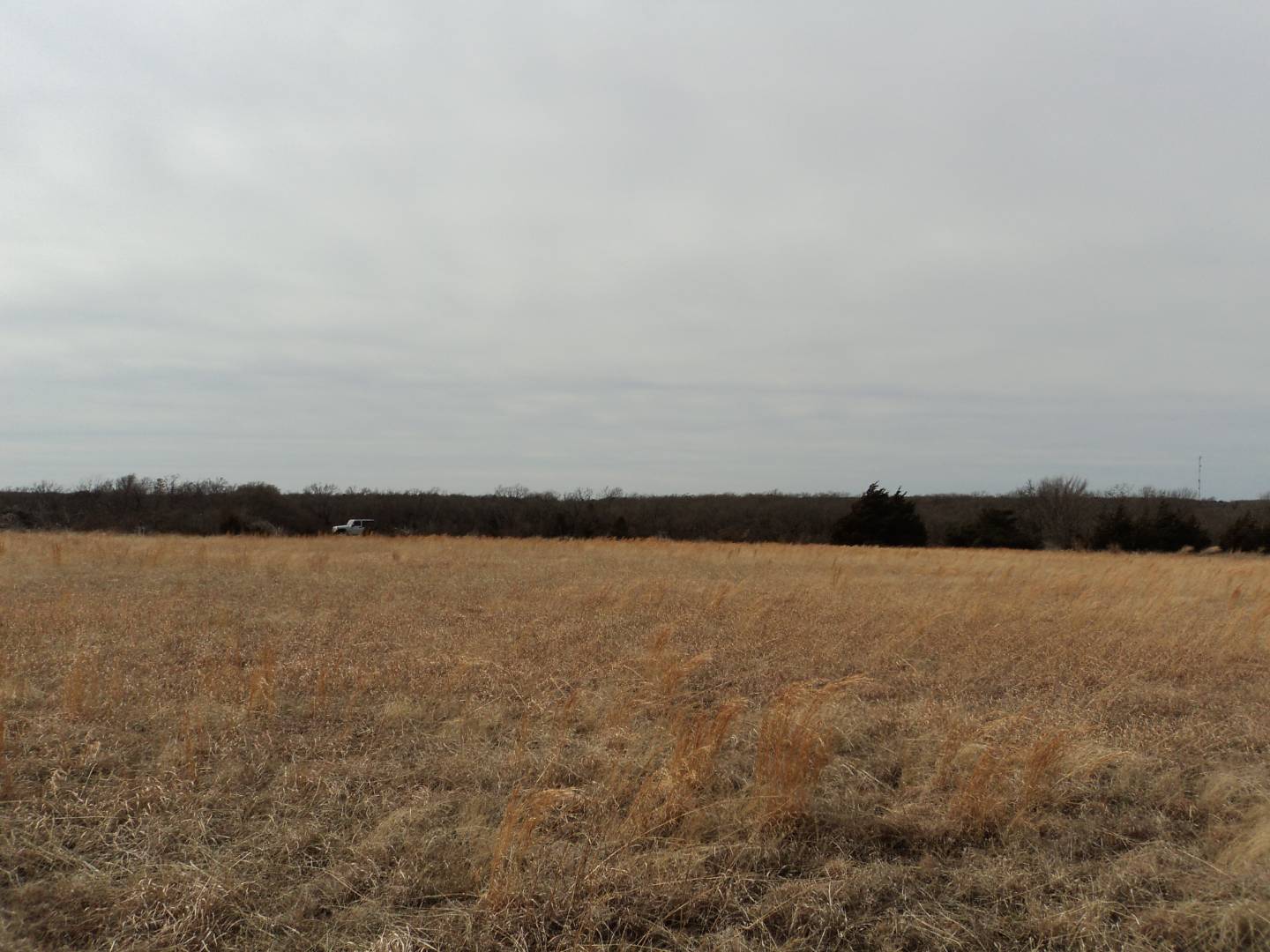 33370 Highway 39 Tract 1, OK 74878 (Sold MyStateMLS Listing 10576818)