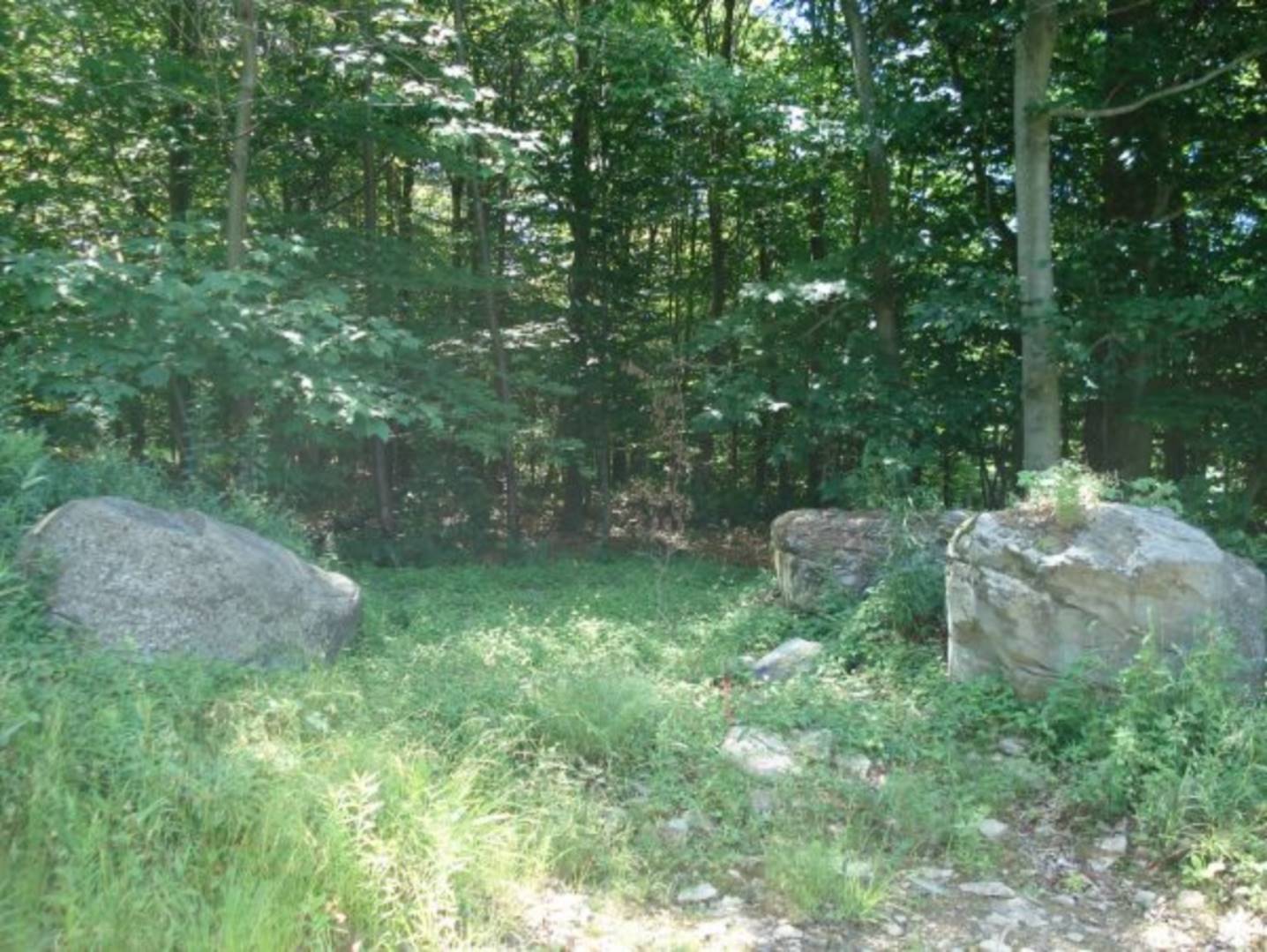 Peas Eddy Rd, Hancock NY, NY 13783 (Off Market NYStateMLS Listing