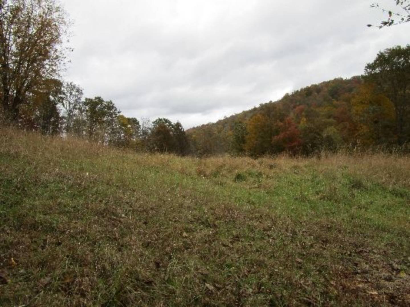 3388 Little Cove Rd, Troy, WV 26443 (Sold MyStateMLS Listing 10572933)