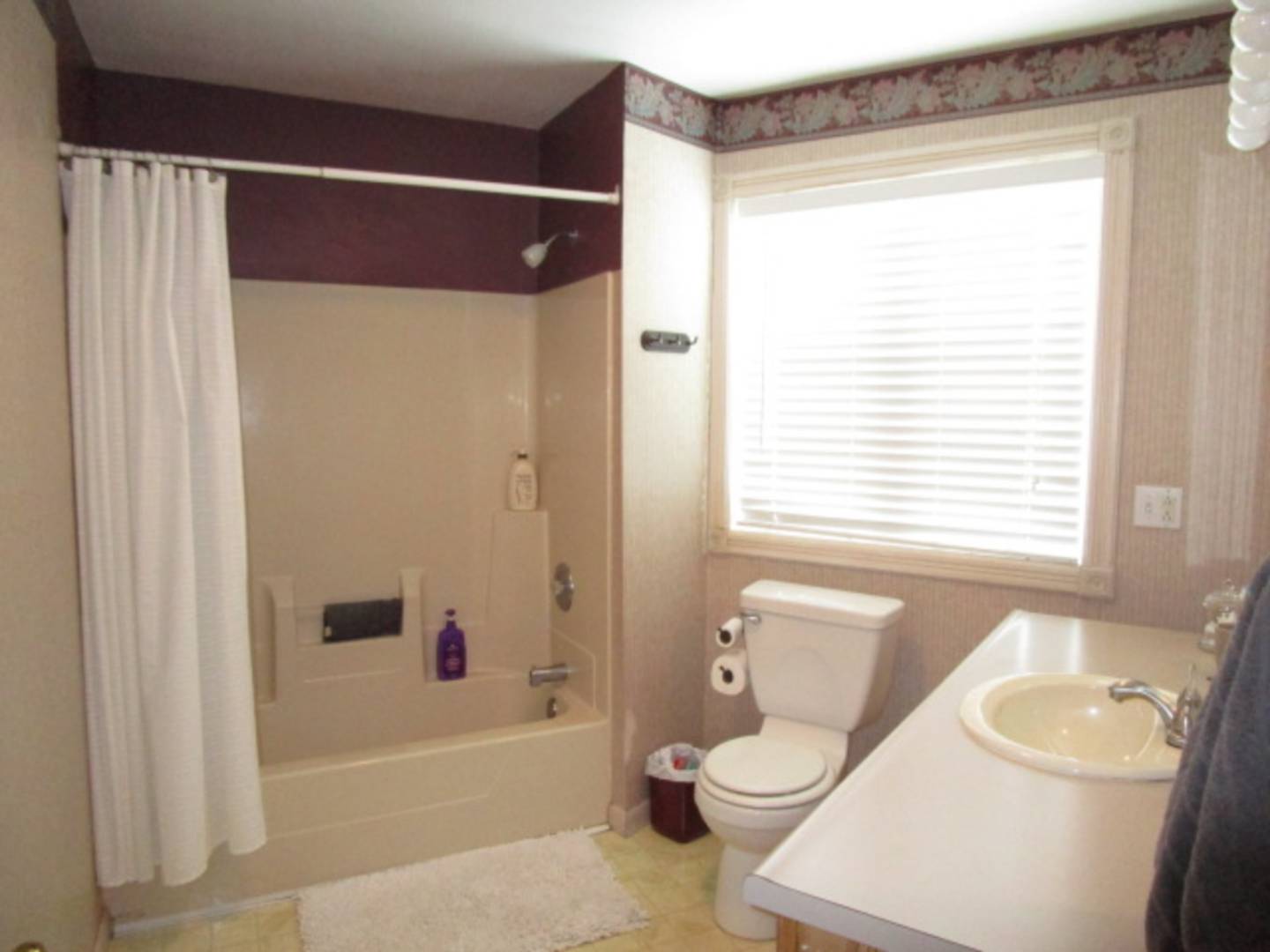 1011 9th Ave, Mountain Lake, MN 56159 (Sold MyStateMLS Listing 10577996)