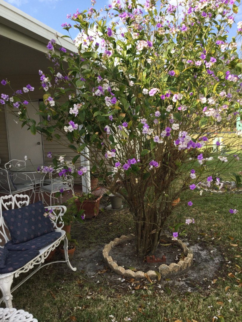 489 Maplewood Lane, Naples, FL 34112 (Sold MyStateMLS Listing 10582415)