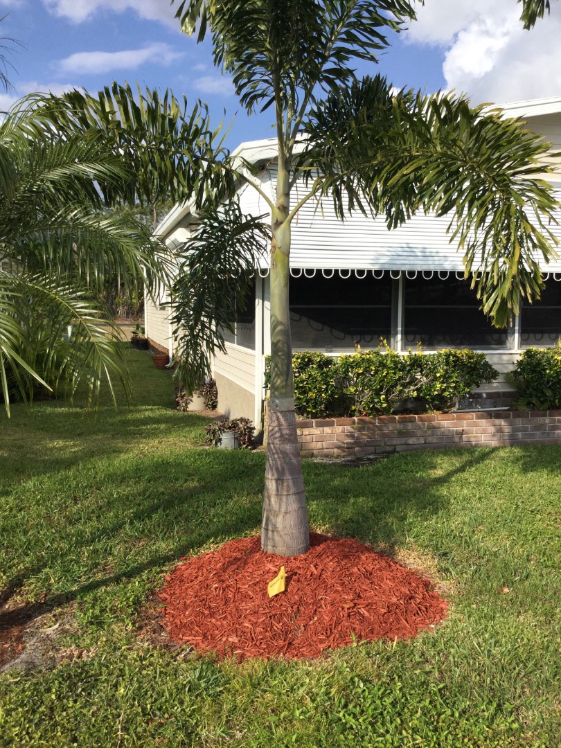 489 Maplewood Lane, Naples, FL 34112 (Sold MyStateMLS Listing 10582415)