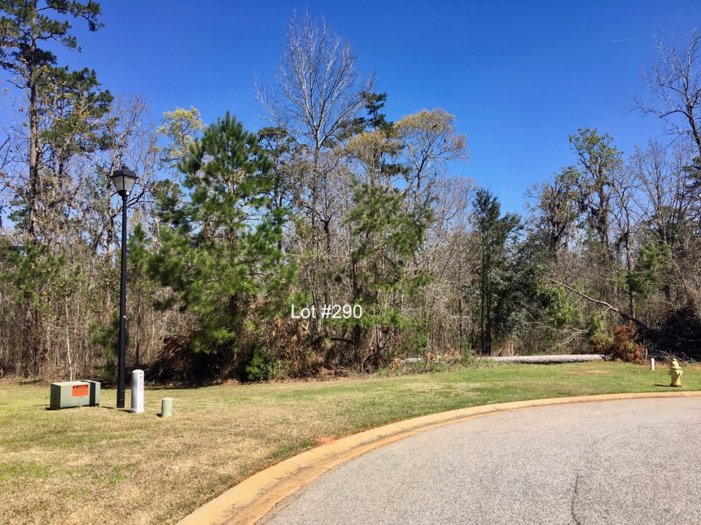 Hickory Grove Plantation, Lot 290 & 295, Leesburg, GA 31763 (Sold NYStateMLS Listing 10584516)