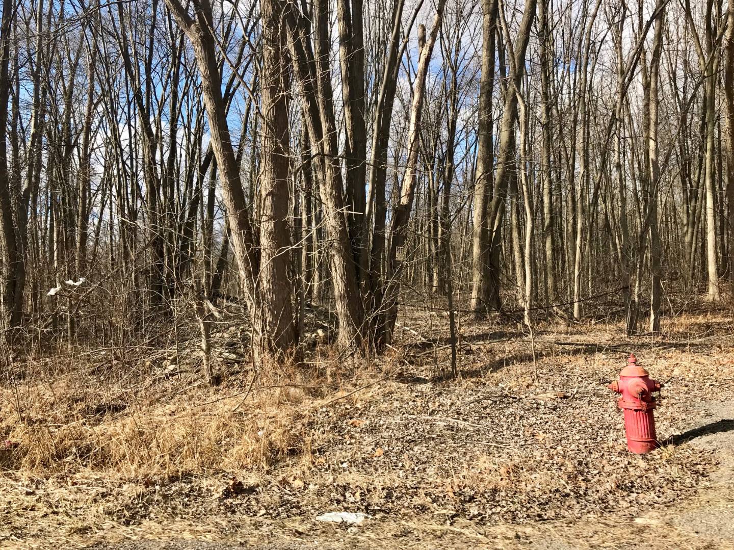 00000 SIBLEY RD, New Boston, MI 48164 (Off Market MyStateMLS Listing