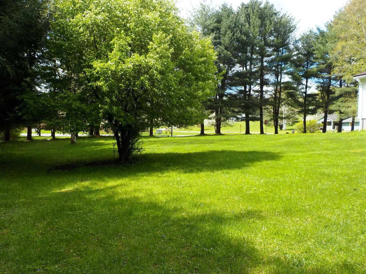 123 Highland Terrace, West Oneonta, NY 13861 (Sold NYStateMLS Listing