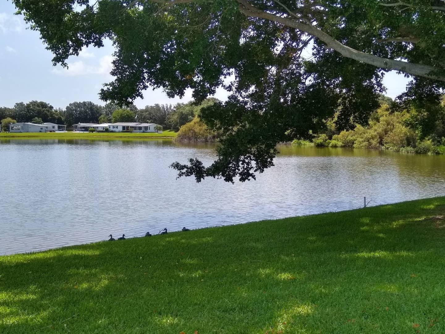 3512 Veranda Blvd, Parrish, FL 34219 (Sold NYStateMLS Listing 10582354)