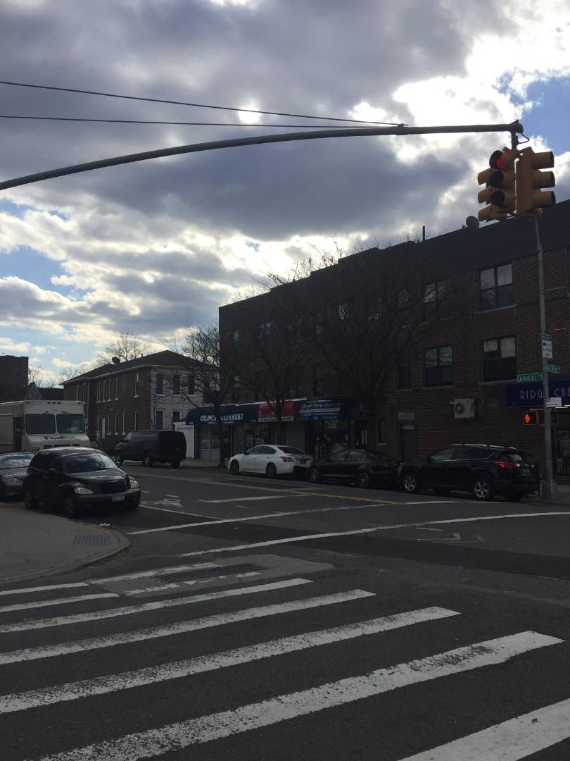 6906 Colonial Road, Brooklyn, NY 11209 (Rented NYStateMLS Listing